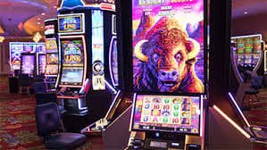2h bet app